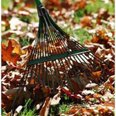 Lawn Care: Autumn Lawn Care